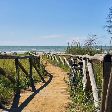In A Stunning Bibione